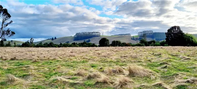 Parcela en Llanquihue