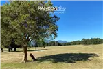  Venta  Parcela en Pucón  $86.419.200 UF2.100 