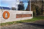  Venta  Parcela en Villarrica  UF1.701,01 $70.000.000 