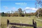  Venta  Parcela en Villarrica  UF2.259,91 $93.000.000 