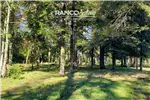  Venta  Parcela en Villarrica  UF2.259,91 $93.000.000 