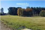  Venta  Parcela en Villarrica  UF2.259,91 $93.000.000 