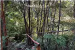  Venta  Parcela en Puerto Varas  UF1.202,86 $49.500.000 