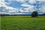  Venta  Parcela en Puerto Varas  $103.703.040 UF2.520 