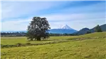  Venta  Parcela en Puerto Varas  $103.703.040 UF2.520 
