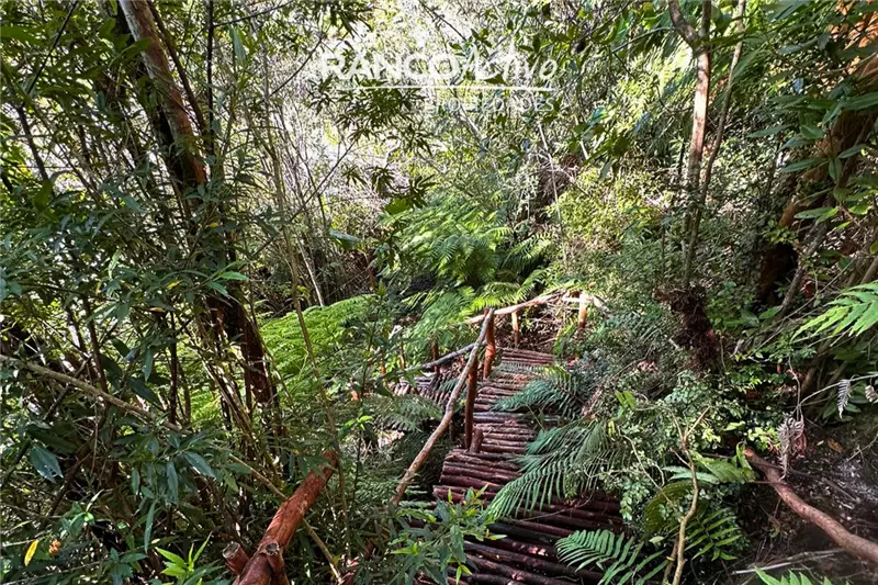 Parcela en Puerto Varas