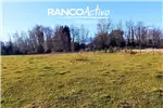  Venta  Sitio en Villarrica  UF16.281,10 $670.000.000 