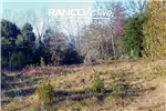  Venta  Sitio en Villarrica  UF16.281,10 $670.000.000 