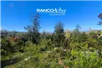  Venta  Parcela en Valdivia  UF2.624,42 $108.000.000 