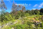  Venta  Parcela en Valdivia  UF2.624,42 $108.000.000 