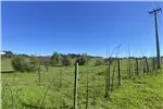  Venta  Parcela en Chillán  UF1.190,71 $49.000.000 
