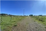  Venta  Parcela en Chillán  UF1.190,71 $49.000.000 
