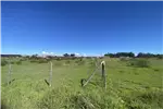  Venta  Parcela en Chillán  UF1.190,71 $49.000.000 