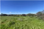  Venta  Parcela en Chillán  UF1.190,71 $49.000.000 