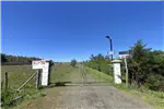  Venta  Parcela en Chillán  UF1.190,71 $49.000.000 