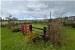  Venta  Casa en Puerto Varas  $337.446.400 UF8.200 
