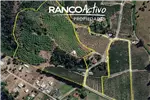  Venta  Agrícola en Quillón  $832.916.480 UF20.240 
