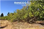  Venta  Agrícola en Quillón  $832.916.480 UF20.240 