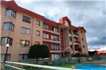  Arriendo  Departamento en Temuco  UF14,58 $600.000 