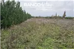  Venta  Parcela en Coihueco  UF899,00 $37.000.000 