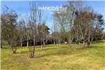  Venta  Casa en Mariquina  UF6.318,04 $260.000.000 